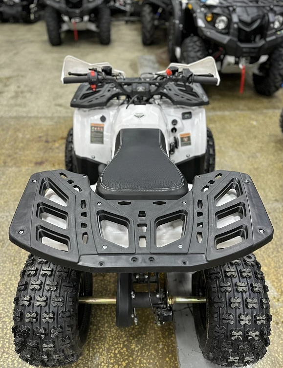 Квадроцикл PROMAX WILD 2.0 190 в Ессентуках