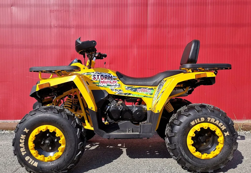 Квадроцикл PROMAX STORM 280 LUX в Ессентуках