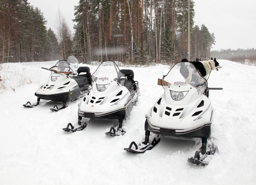 СНЕГОХОД РМ ТАЙГА ВАРЯГ 550 V в Ессентуках