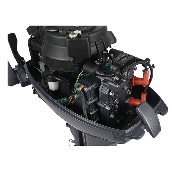 ЛОДОЧНЫЙ МОТОР ALLFA CG Т9,9 Limit в Ессентуках