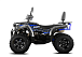 Квадроцикл GBM CROSS HILL 320 BIG PREMIUM в Ессентуках