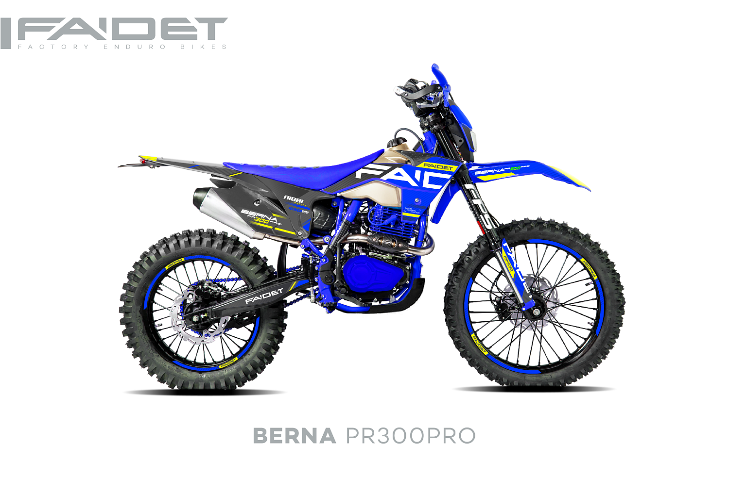 Кроссовый мотоцикл FAIDET BERNA PR300-PRO FPS в Ессентуках