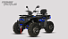 Квадроцикл PROMAX TAURUS 300 MAX-PRO LONG в Ессентуках