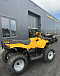 КВАДРОЦИКЛ IRBIS ATV 250  в Ессентуках
