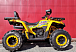 Квадроцикл PROMAX STORM 280 LUX в Ессентуках