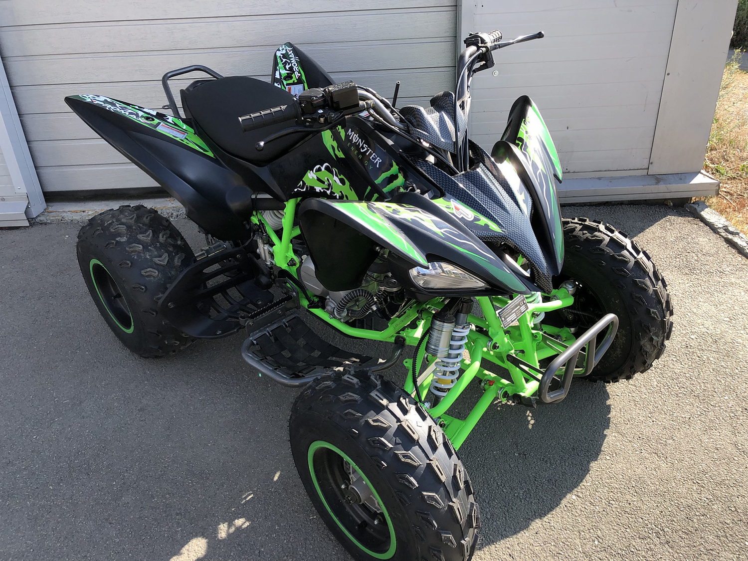 Квадроцикл PROMAX RAPTOR 300 NEW Monster в Ессентуках