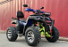  Квадроцикл PROMAX ATV 250 MAX (2025) в Ессентуках