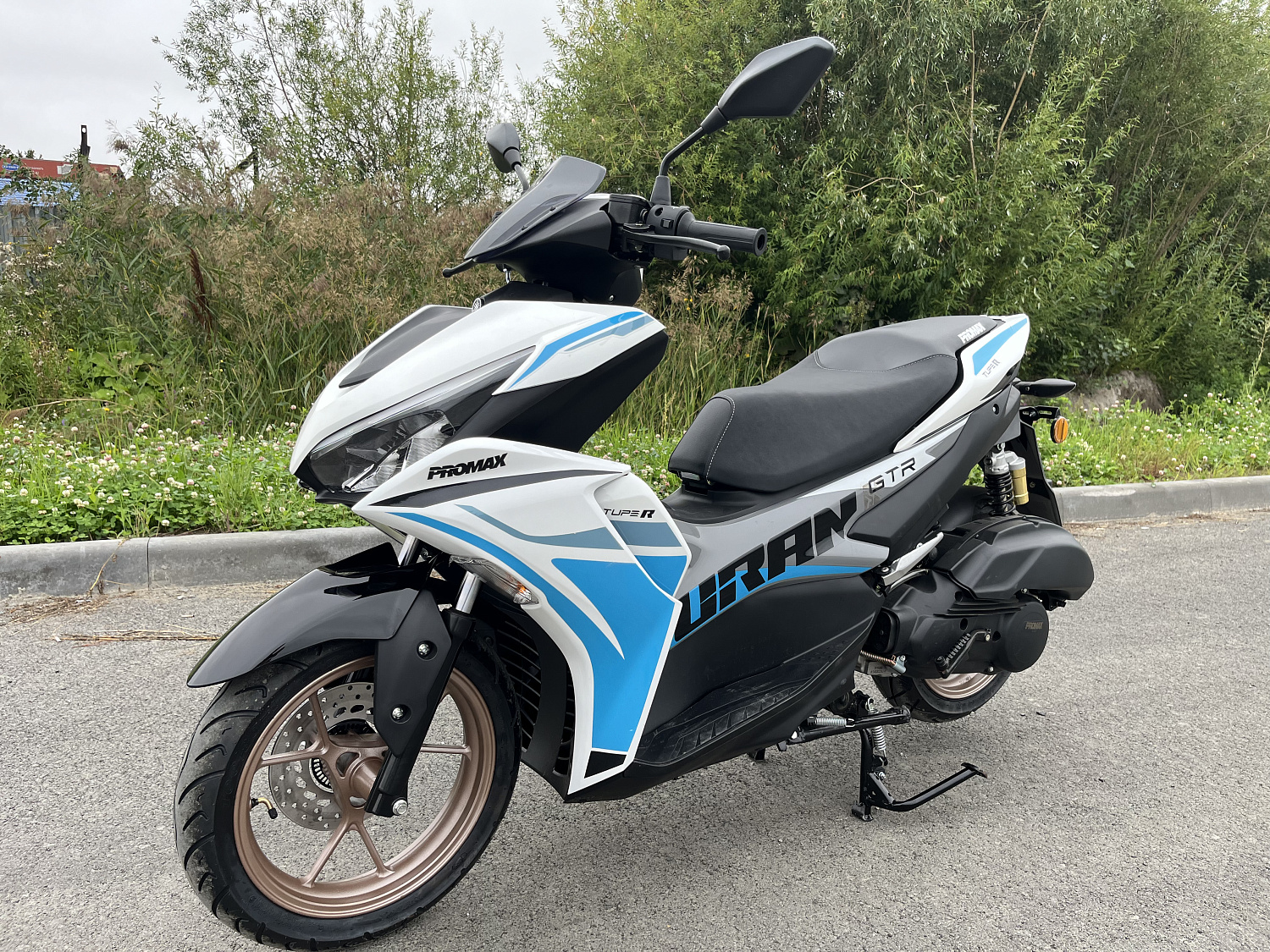 Скутер PROMAX TURAN 250 (49) в Ессентуках