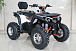 Квадроцикл GBM STORMRIDER 320 PREMIUM в Ессентуках