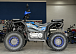 Квадроцикл PROMAX TAURUS 300 в Ессентуках