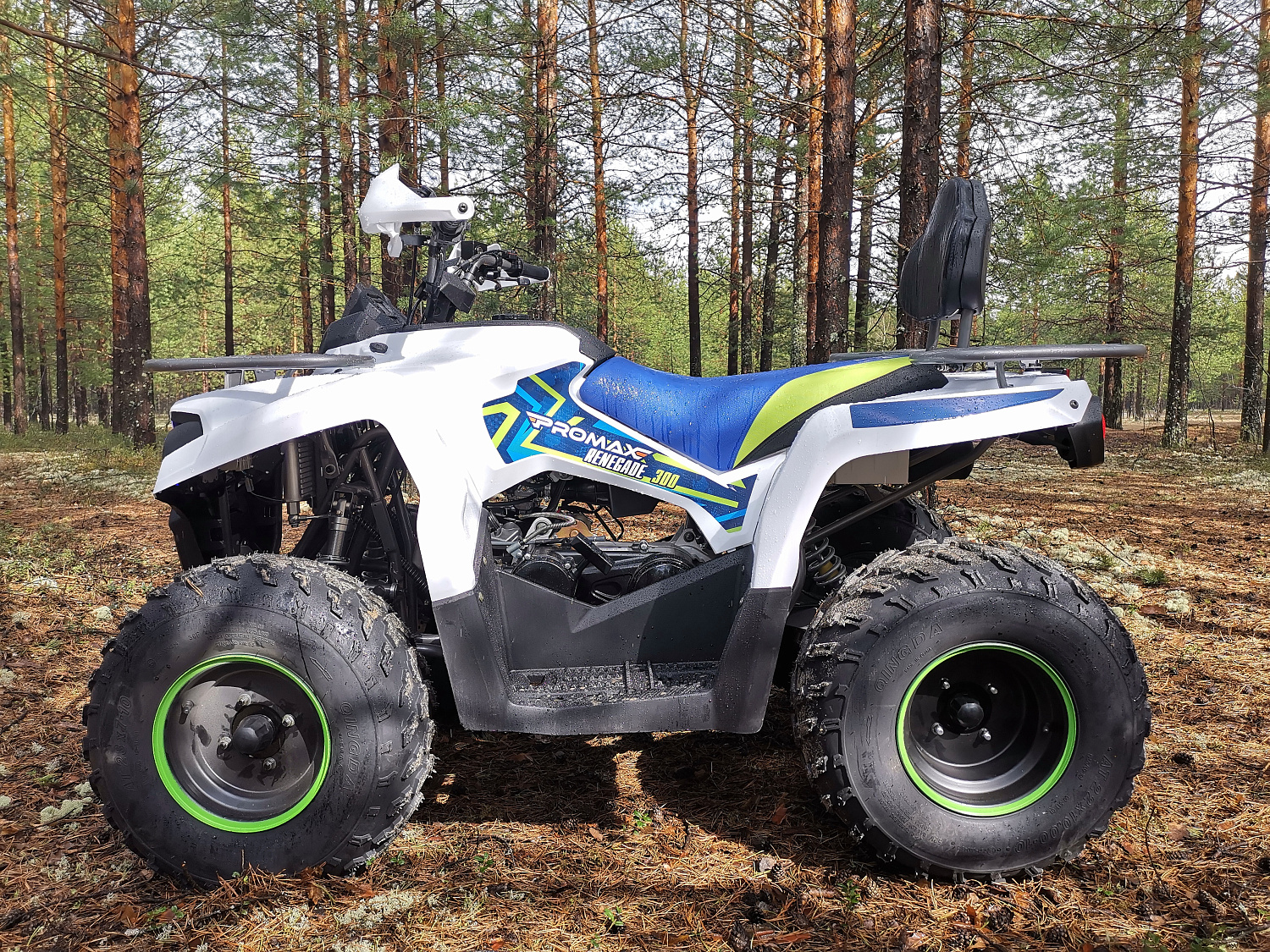 Квадроцикл PROMAX RENEGADE 280 (2025) в Ессентуках