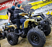 Квадроцикл PROMAX ATV 250 (2025) в Ессентуках