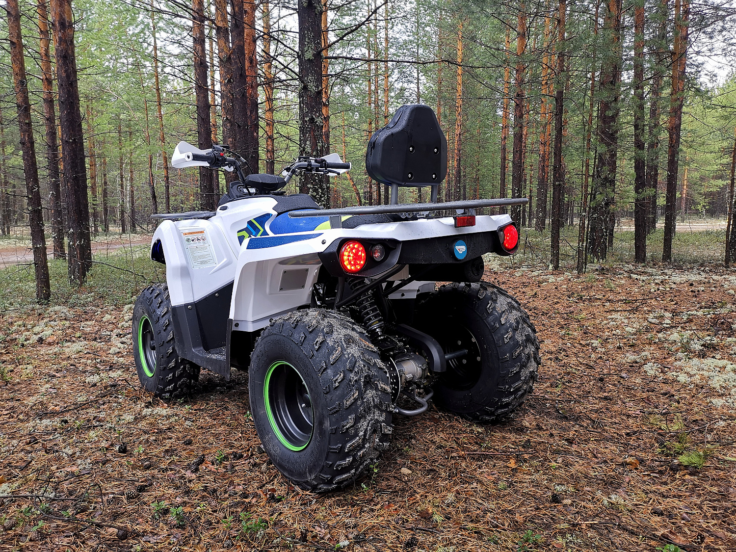 Квадроцикл PROMAX RENEGADE 280 (2025) в Ессентуках