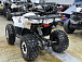 Квадроцикл PROMAX WILD 2.0 190 LUX в Ессентуках