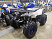 Квадроцикл PROMAX WILD 175 LUX в Ессентуках
