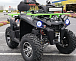 Квадроцикл PROMAX RENEGADE 280 WINCH PRO (2025) в Ессентуках