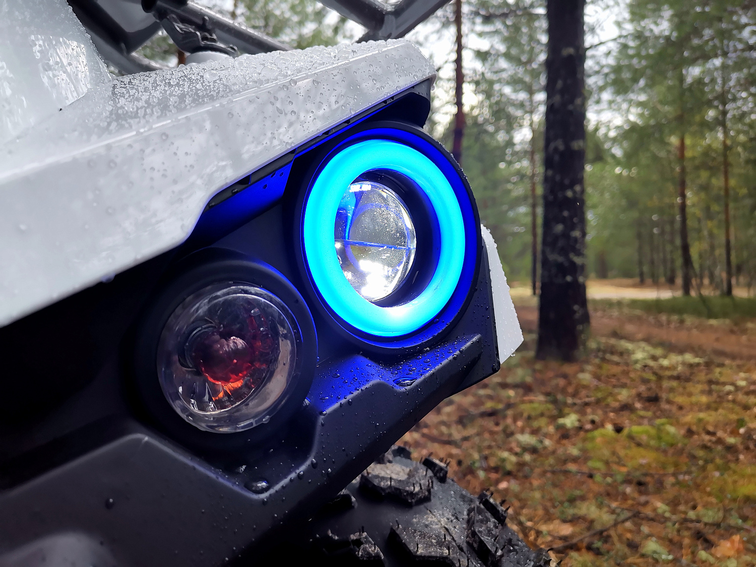 Квадроцикл PROMAX RENEGADE 280 (2025) в Ессентуках