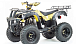 Квадроцикл MOTOLAND (МОТОЛЕНД) 250 ADVENTURE в Ессентуках