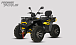 Квадроцикл PROMAX TAURUS 300 MAX-PRO LONG в Ессентуках
