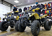 Квадроцикл PROMAX ATV 250 (2025) в Ессентуках