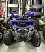 Квадроцикл PROMAX WILD 2.0 190 PRO (2025) в Ессентуках